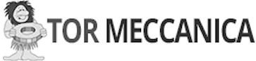 tor meccanica logo